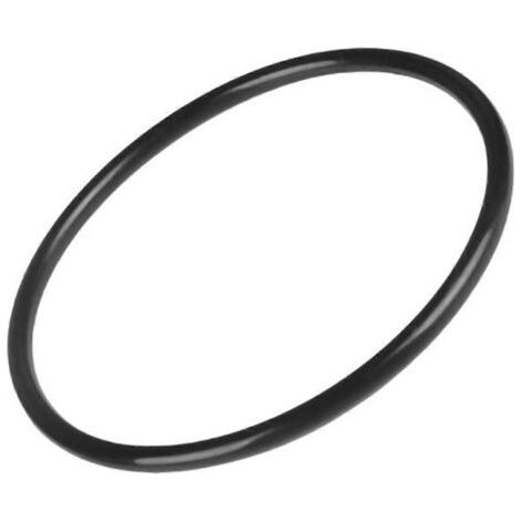 O-Ring für Filterkopf für SwimClear C100S/C150S/C200S Modell (1/5)