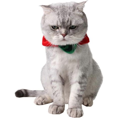 Collar ajustable para perro con círculo para el cuello, ideal para Navidad, color rojo y verde. (1/5)