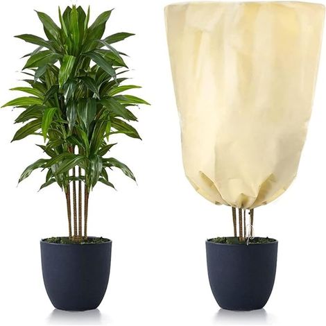 Lot de 2 housses de protection hivernales en non-tissé pour plantes - 80 x 120 cm - Protection hivernale pour plantes en pot, arbres - Avec fermeture éclair et cordon de serrage - Réutilisable - Beige (1/5)