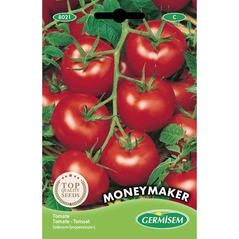 Germisem graines Tomate MONEYMAKER