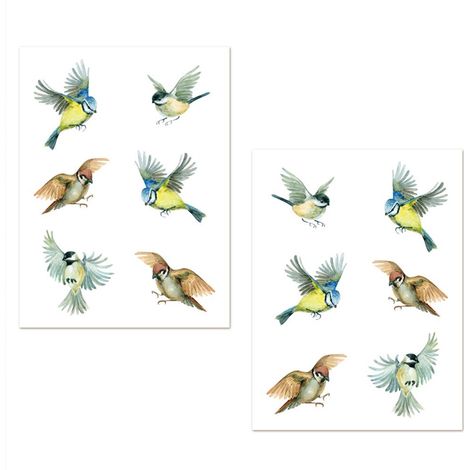 Adhésifs de vitres Oiseaux (1/3)