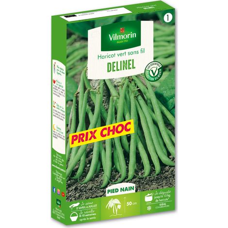 Vilmorin – Haricot nain vert Delinel – Graines de potager – Exposition ensoleillée – Semis de mars à juin – Récolte de juillet à septembre (1/3)