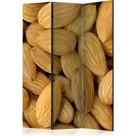 Paravento - Tasty almonds [Room Dividers] - 135x172 (1/4)