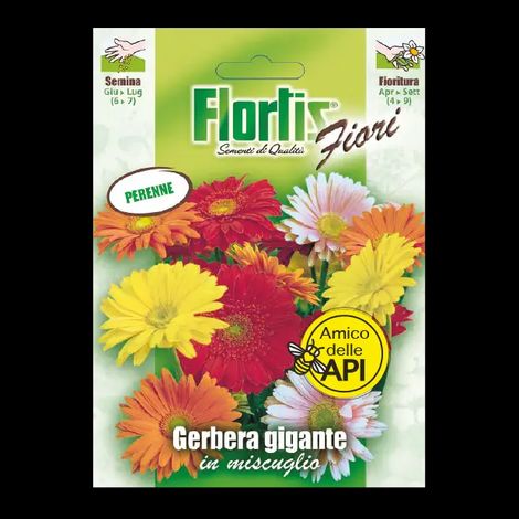 Gerbera Gigante Mix