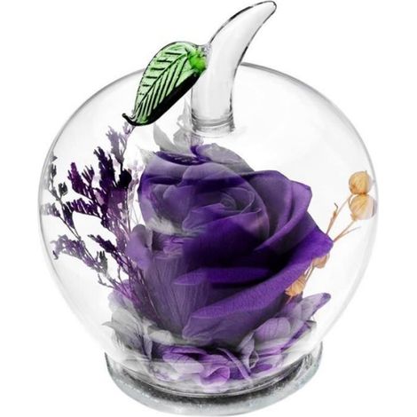 Fleur préservée - - Rose violette - Verre en forme de pomme - Cadeau pour femme - 100% naturelle (1/4)