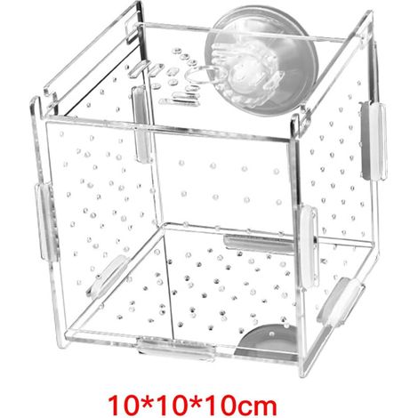 Boîte d'élevage de poissons en acrylique transparent avec ventouse, idéale pour élever des poissons et des crevettes dans un aquarium. (1/5)