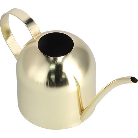 Arrosoir d'intérieur Vintage en acier inoxydable, 1000ML, plantes succulentes, bouilloire, Pot doré (1/5)