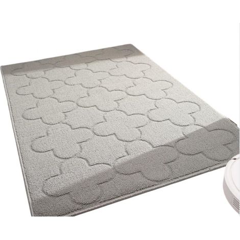 Tapis d'entrée d'intérieur 50x80cm, tapis de porte d'intérieur antidérapant et lavable, adapté à l'intérieur, à l'extérieur, à la chambre, à la cuisine, à l'entrée, au couloir (1/5)