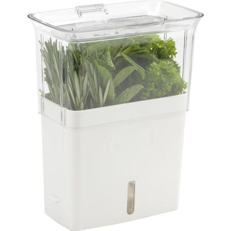 Scatola per erbe aromatiche Tealby Fresh, contenitore per erbe aromatiche, in acrilico, con divisori rimovibili, garanzia di 2 anni, colore bianco/trasparente, dimensioni 23 cm x 18,5 cm x 12 cm.