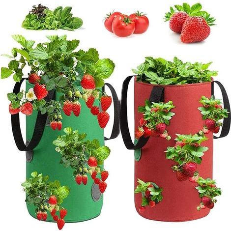 Bolsas para plantar fresas AIDUCHO, 2 unidades. Bolsas para cultivar fresas, bolsas para plantar en el jardín, bolsas de tela no tejida para fresas, bolsas para plantar fresas, para fresas, hierbas y  (1/5)