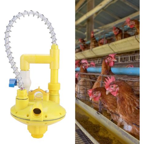 Automatischer Druckminderer für die Wasserleitung der Geflügeltränke. (1/5)