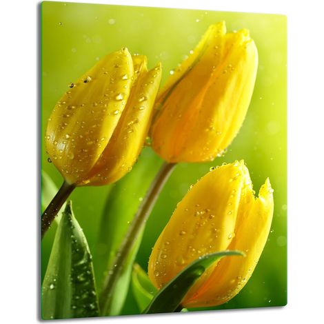 PIASTRA DI PROTEZIONE IN VETRO PER INDUZIONE 40x52 TULIPS (1/5)