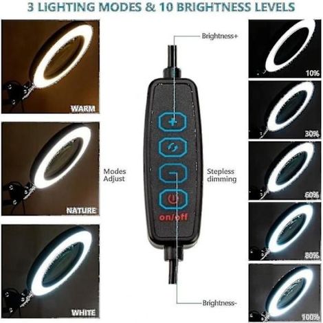 Loupe grossissante 30x avec lumière et 3 modes de couleur, lampe de table loupe à luminosité réglable sur 10 niveaux [RM] (1/2)