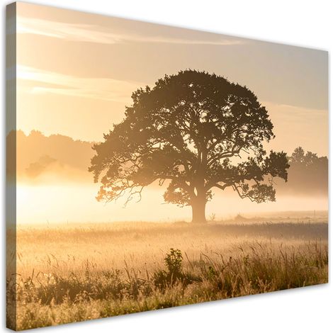 Bilder Baum im Nebel in einer Wiesenlandschaft Natur 90x60 (1/5)