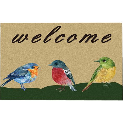 Tapis De Sol - Tapis D'Entrée Antidérapant - Pour Salle De Bain Chambre Séjour - 40 X 60 Cm - 1 Pièce (1/5)