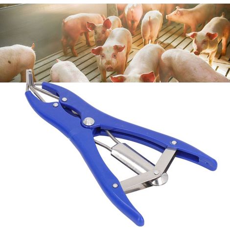 Pince à castration avec 100 anneaux de castrateur rouge pour animaux domestiques (taille 8.5" x 4.1") (1/5)