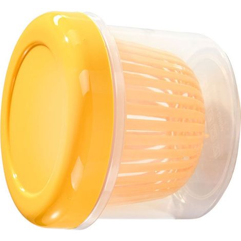 Boîte de conservation alimentaire hermétique avec système de drainage, empilable, idéale pour l'ail, les oignons verts et les fruits. (1/5)