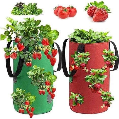 2 Pièces Sac De Plantation Fraises, Sac Culture Fraises, Sac de Culture de Fraises en Non Tissé, Sac à Fraisiers,pour Fraises, Herbes, Fleurs (3Gallon, 20x35CM) (1/5)