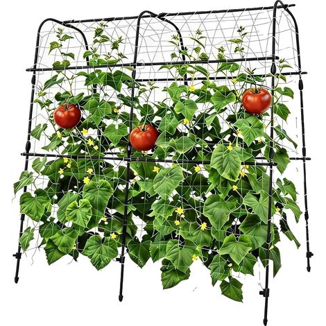 Soporte para plantas trepadoras, enrejado alto en forma de U, diseño resistente a la intemperie, 160 x 160 cm. (1/2)