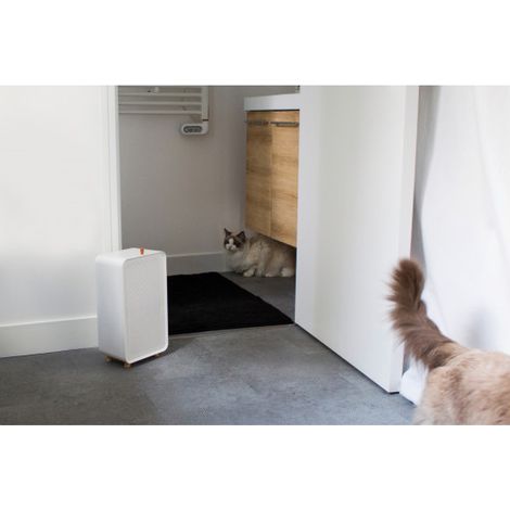 Air-me Orain deshumidificador compacto blanco 20 m² (1/5)