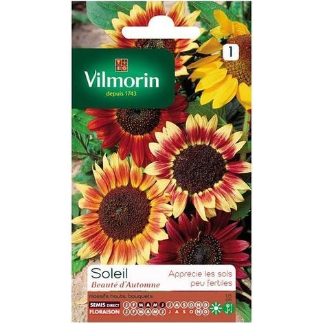 Sachet graines Soleil beauté d'automne