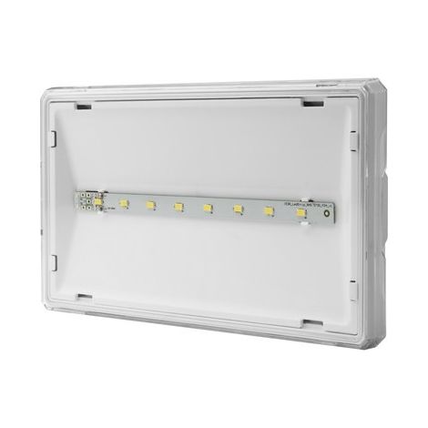 Luminaire de secours à LED, sortie S 1W 6000K 1h, usage unique, bouton de test, bi-bande (1/4)