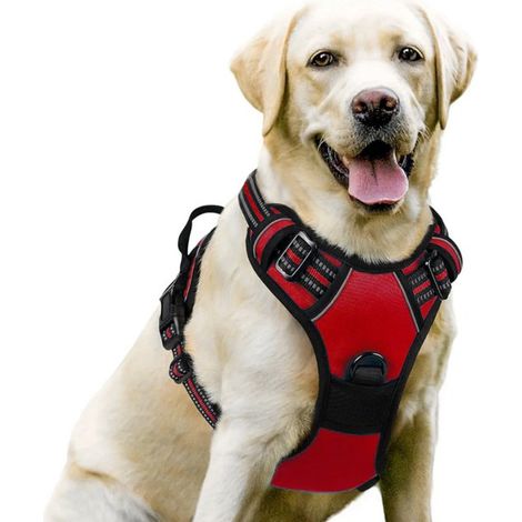 Pettorina antistrappo per cani, facile da indossare, gilet riflettente regolabile, chiusura frontale, adatta a cani di taglia media e grande, XL, verde fluorescente (1/5)