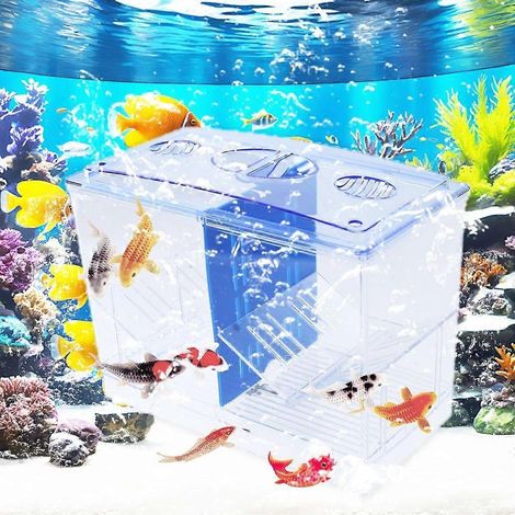 Incubateur d'élevage FishTank avec ventouse (1/4)