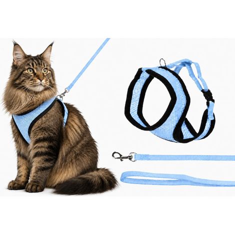 Harnais pour Chat - Harnais Bleu avec Laisse Assortie - Nylon Respirant réglable - Mousqueton chromé et Ajustement Confortable - 37cm / 43-55cm / 120cm (1/5)