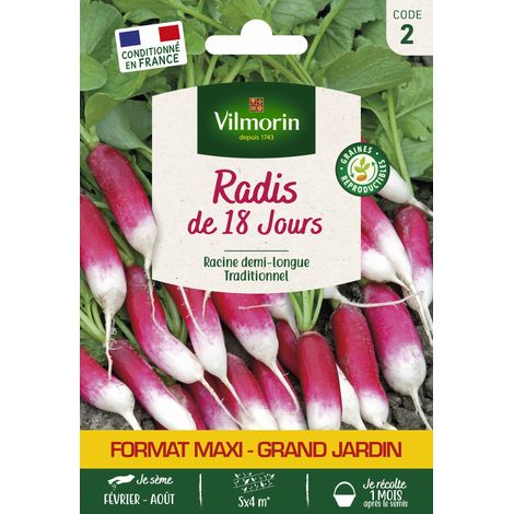 Radis de 18 Jours - Grand Modèle Vilmorin