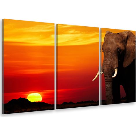 Tableau triptyque deco eléphant et ivoire au coucher du soleil - 90x60 cm (1/5)