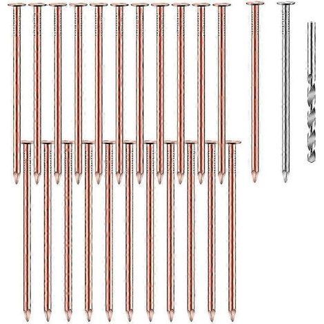 Lot de 25 clous en cuivre pur de 8.9 cm (3.5 pouces) pour l'enlèvement de souches d'arbres - Quincaillerie robuste et efficace (1/5)