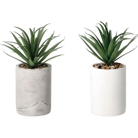 VASO CON PIANTA GRASSA DECORATIVA D.9XH22CM IN 2 C (1/3)