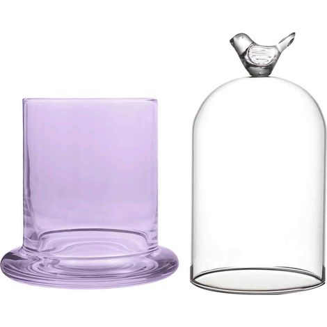 Cloche en verre transparent, cloche décorative, cloche en verre pour plantes et objets décoratifs, pour la décoration intérieure (1/5)