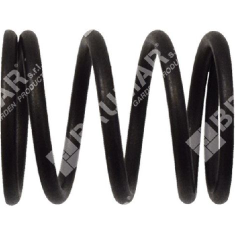 Ventilfeder für DUCAR-Motorpumpen - 049582