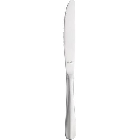 Couteaux de Table pour Restaurant en Inox Lot de 12 Baguette Amefa (1/2)