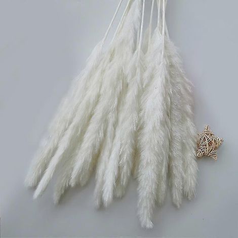 Wabjtam 15 pièces de décoration en plumes de foin fleurs séchées ovales naturelles bouquet de roseau (blanc) 60 cm x 10 cm x 10 cm (1/5)