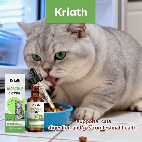 Gouttes pour la santé intestinale du chat : douces et nourrissantes, elles améliorent l’absorption des nutriments et sont faciles à administrer quotidiennement – 60 ml (1/5)