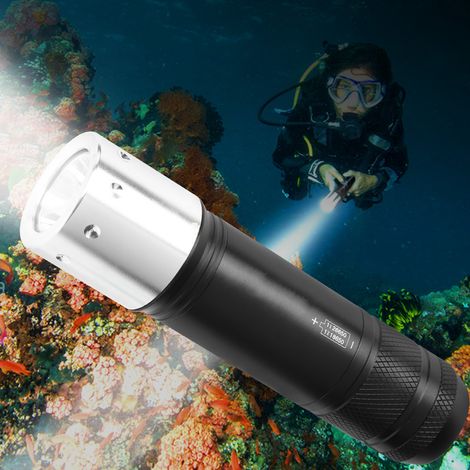Lampe de Plongée LED Puissante, Torche Submersible pour Pêche, Randonnée et Camping (1/5)