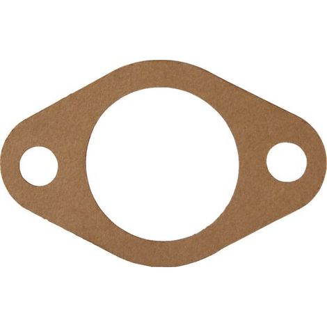Guarnizione AGRIA AGW01161