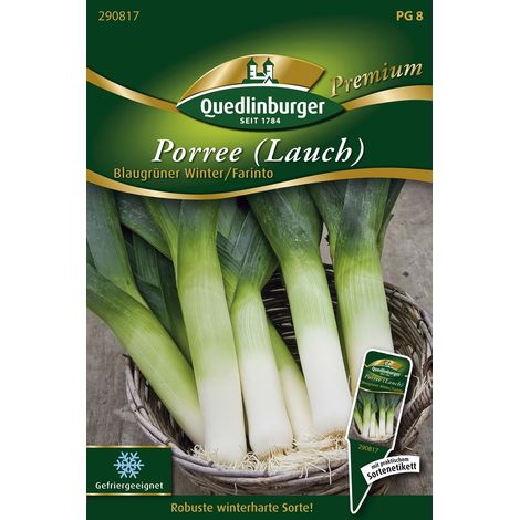 Quedlinburger Saatgut – Poireau Blaugrüner Winter / Farinto – Graines de légumes, pour env. 250 plants (1/2)