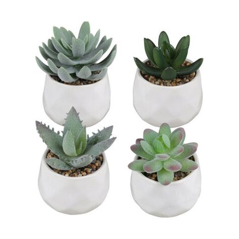 BUNTHAUS Ensemble de bonsaï en céramique succulente simulée de 4 décorations pour la maison, ensemble de bonsaï succulent de plante simulée (1/5)