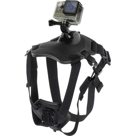 Harnais pour chien de chasse avec sangle de poitrine réglable et fixation pour GoPro, DJI Osmo Action, Xiaoyi et autres caméras d'action (1/5)