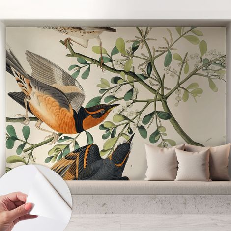 Selbstklebend Tapete - abwaschbar - Raumgestaltung Schlafzimmer Wohnzimmer Tapete Bunte Vögel 208x146 cm (1/5)
