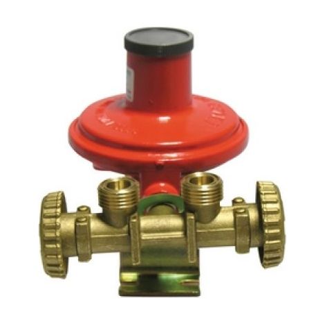 MINI CENTRALINA CON REGOLATORE 2205 SENZA MANICHETTE Kg./ h 10