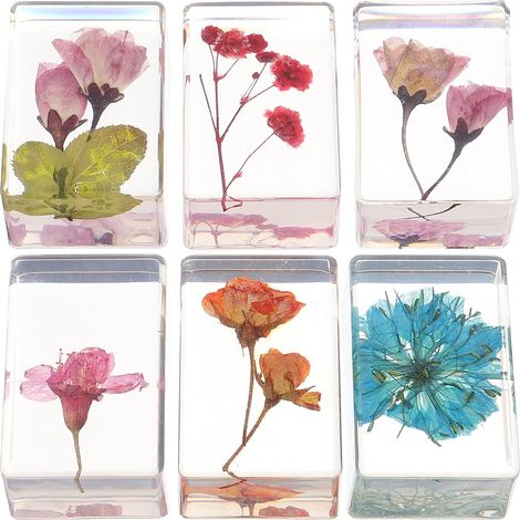 6pcs Spécimens de Fleurs en Résine Ambre pour Bricolages, Légers et Faciles à Ranger, Forme Rectangulaire, pour Collection et Présent Plusieurs styles (1/5)