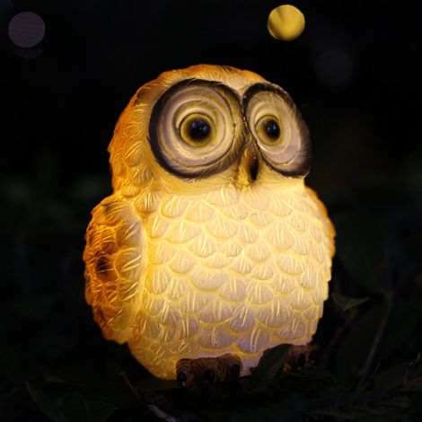 Lampes solaires d'extérieur pour jardin, lampes solaires étanches pour animaux (1/5)
