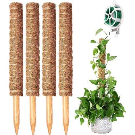 4-teiliges Set 40 cm Kletterpflanzenstützen, Moosstängel aus Kokosfaser für Monstera-Pflanzen, natürliche Pflanzenstützen mit 20 m drehbaren Bändern (1/5)