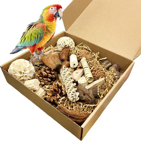 Lot de jouets naturels à mâcher pour oiseaux, accessoires de distraction et soin du bec pour perroquets, perruches et inséparables (1/5)