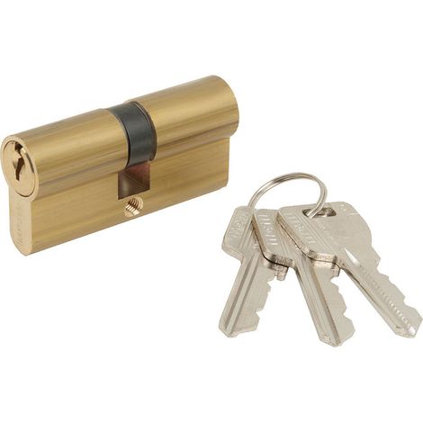 Cylindre serrure mcm E 30 40 doré laiton acier (1/2)